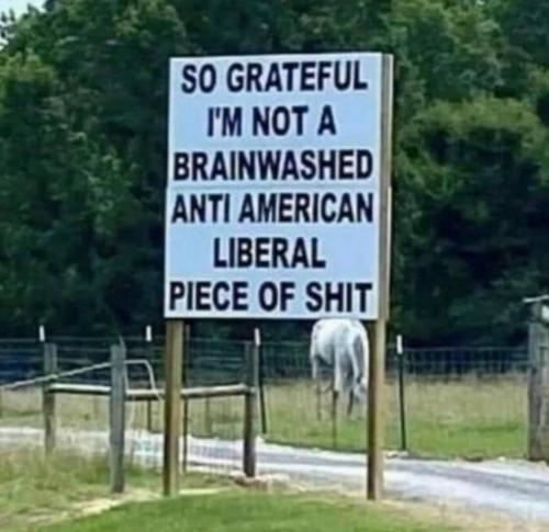 Screenshot_20231228-070949_Gallery