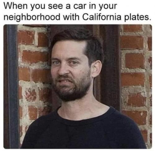 405450432_903351924492844_2466451208983571862_n