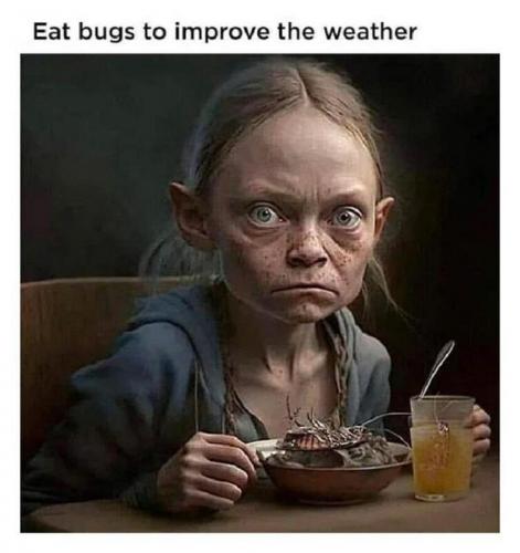 M Greta bug eater