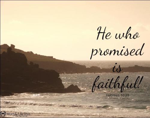 IMG_20231207_114700_136