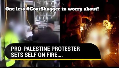 No Goat shaggers video cover