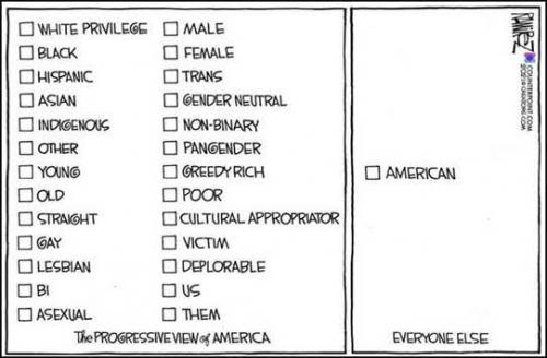 Progressives vs. Americans