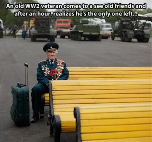 8fb428a6a91ab519be7341ea03d9e0cd