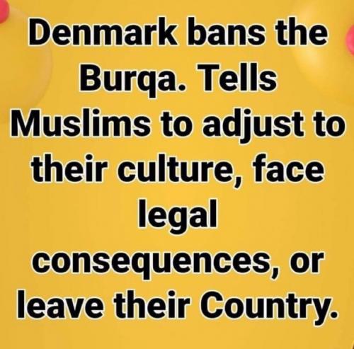 RO Denmark Burqa