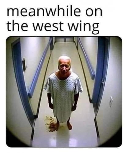409007181_335451829252584_4333858040901698535_n