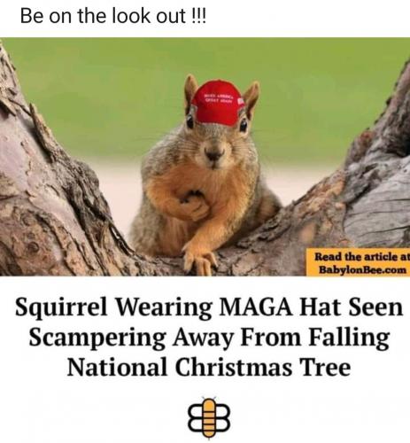 Screenshot_20231202_215620