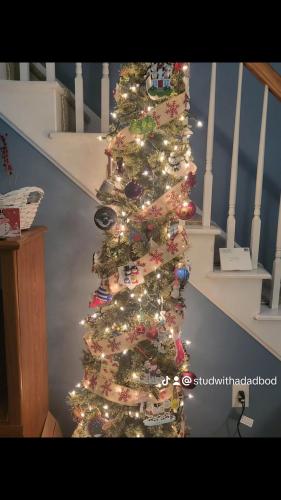 c2f2d8d23b25504ad3af4376729c03d6_0