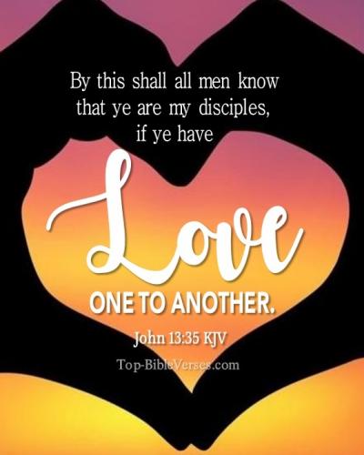 IMG_20231216_104429_678