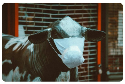 Screenshot_20231223-204251~2