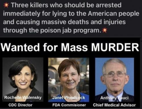 vax murders
