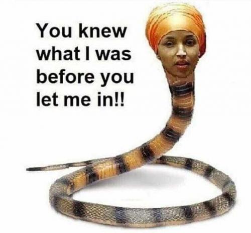 snake with a burka