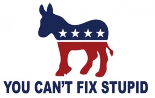 M cant fix stupid