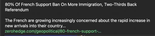 France dump illegals
