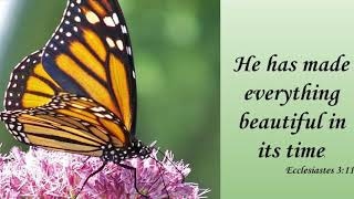 IMG_20231231_122126_808