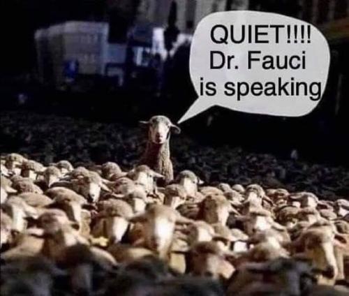 Fauci, COVID, Vaccines, Sheep --  E.F. Hutton