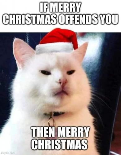 412851816_776505837849490_4323721024822005526_n