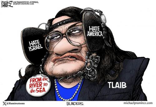 M Tlaib Blinders
