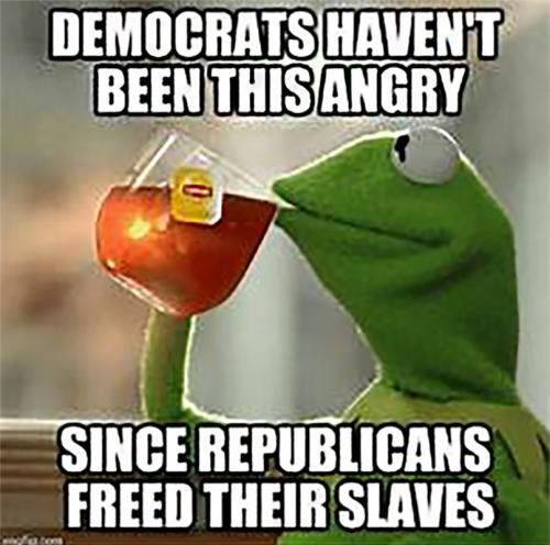 M Democrats angry