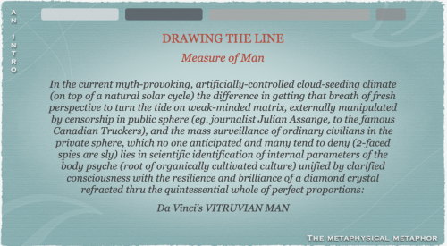 Screen Shot 2023-12-13 at 11.08.53 AM