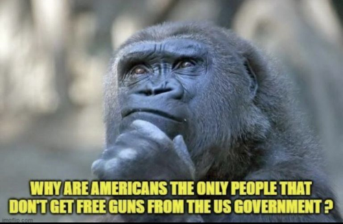 USA free guns