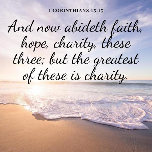 IMG_20231209_105041_582