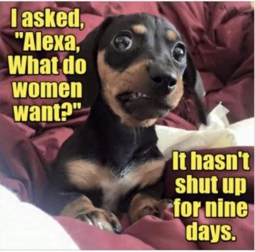 Alexa, What Do Women Want