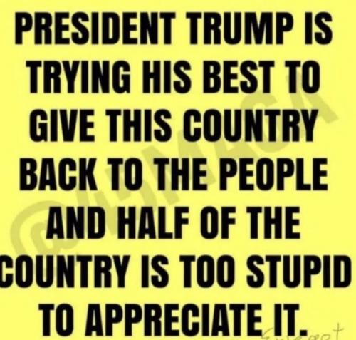 Screenshot_20231206-075224_Gallery