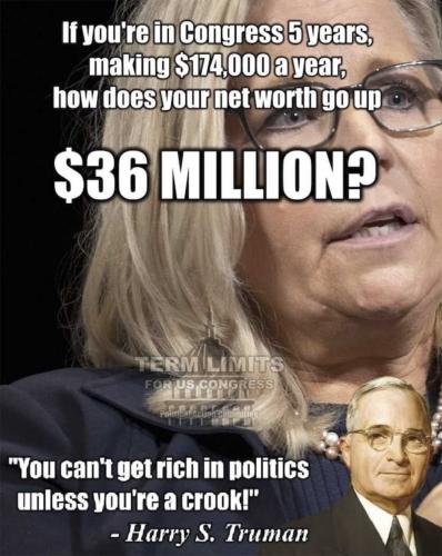 politics & crooks