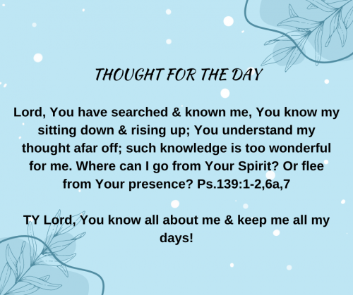 TWEET 12-11-23