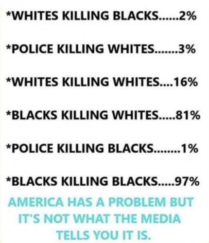 Screenshot_20231201-235018_YouTube