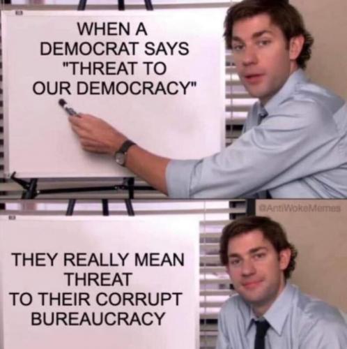 M Democrat says
