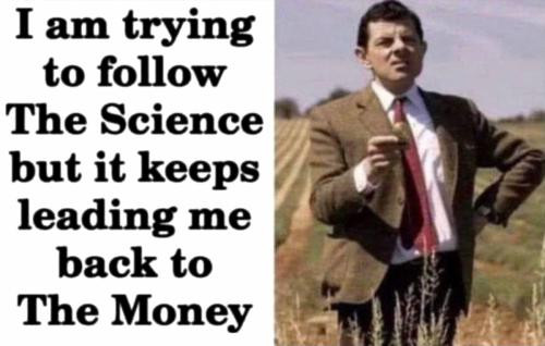 M follow the money