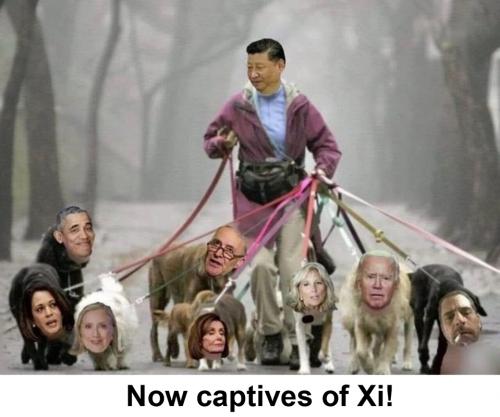 M captives