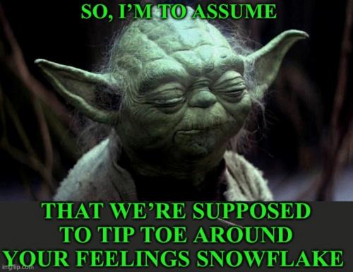 RO snowflake