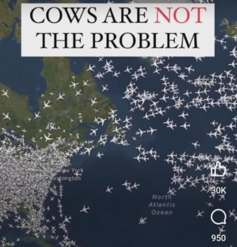 RO Cows not the problem