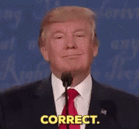 Trump -- 'Correct!' [GIF}