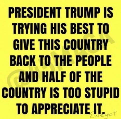 6878ec5517e3a9dd3d0ee529af6b3051