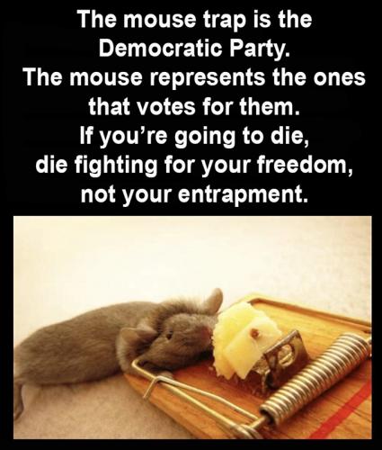 M Mouse trap