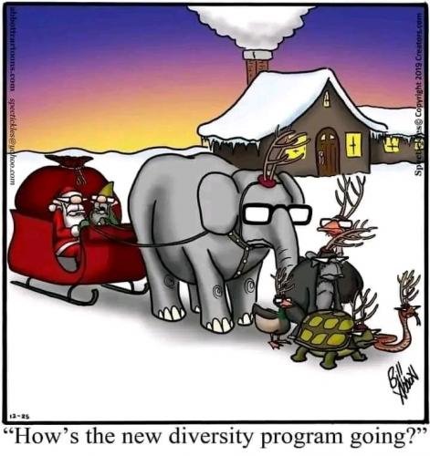 Diversity