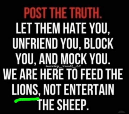 Screenshot_20240110-082124_Gallery