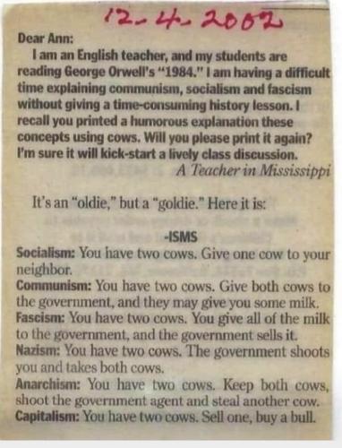 two cows