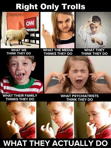Right Only Trolls