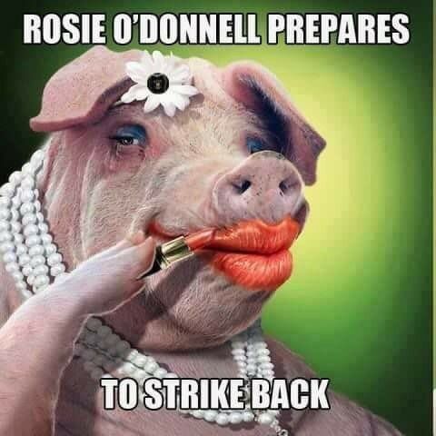 3c7038c6d0806ce5aff61e19326b0375