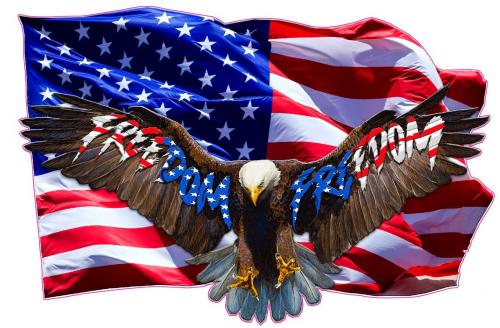 B Freedom
