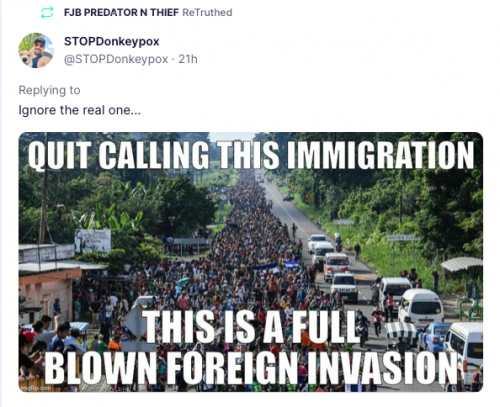 Illegal Immigration -- Invasion on their Gov't