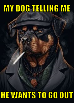 mdtmhwtgo