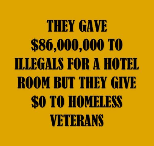 B homeless Veterans