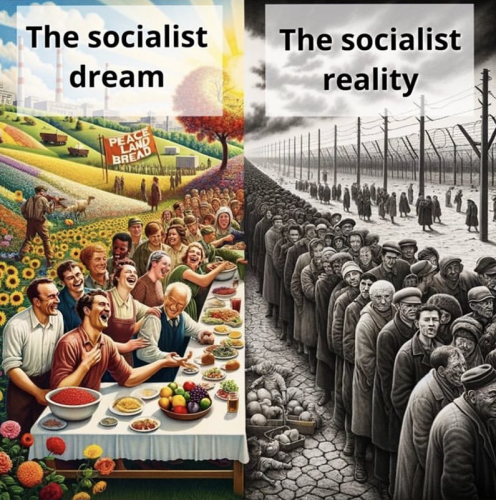 M The Socialist