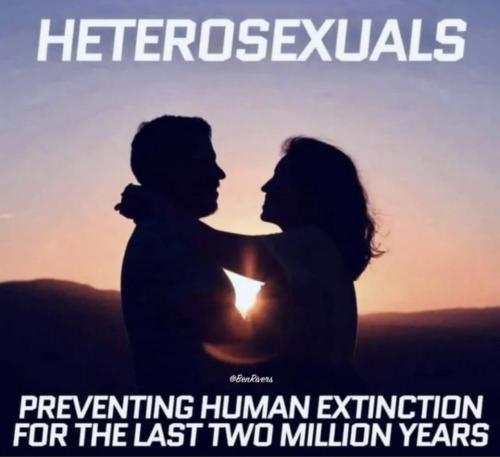 heterosex 2 mill