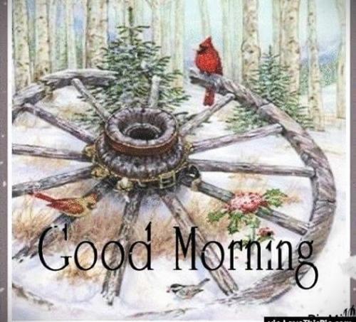 011724 - Old wagon wheel & cardnials